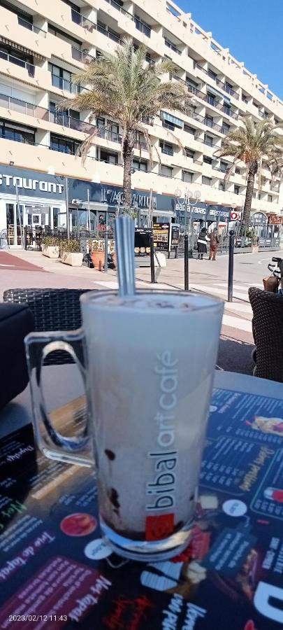 Le Liberte Plage Et Port Saint-Cyprien  Εξωτερικό φωτογραφία